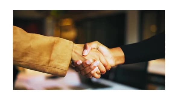Brand Voice Partnership